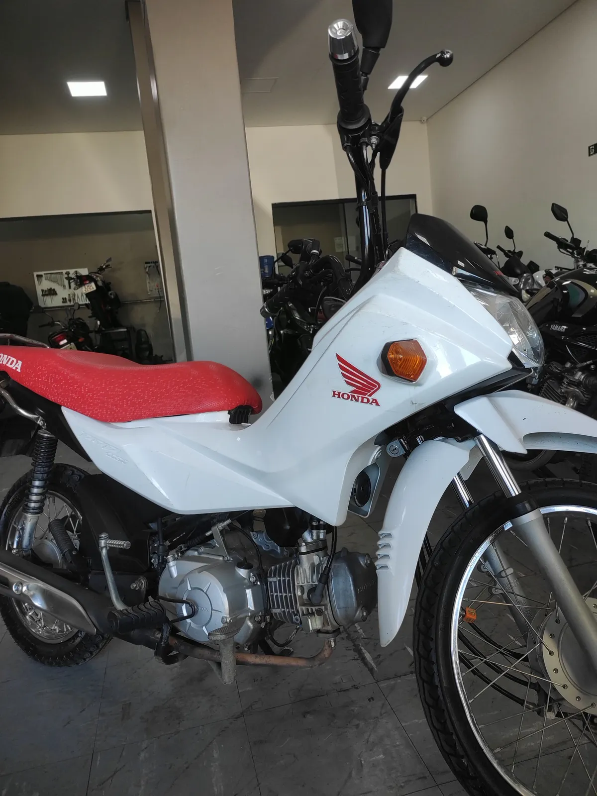 Honda POP 110i 2023